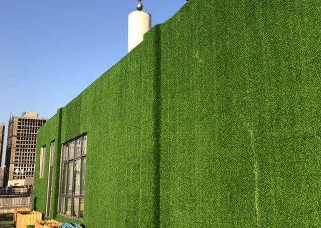 Wall-Decor-Artificial-Grass
